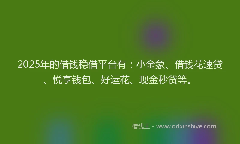 2025年的借钱稳借平台有：小金象、借钱花速贷、悦享钱包、好运花、现金秒贷等。