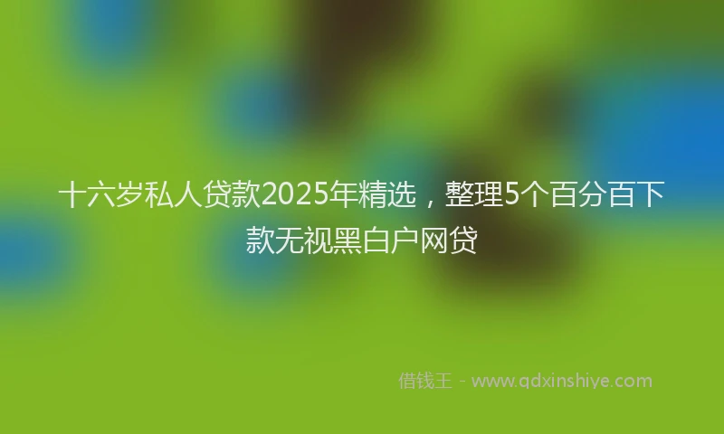 十六岁私人贷款2025年精选，整理5个百分百下款无视黑白户网贷