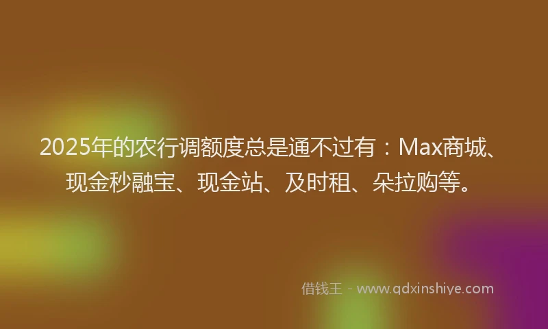 2025年的农行调额度总是通不过有：Max商城、现金秒融宝、现金站、及时租、朵拉购等。