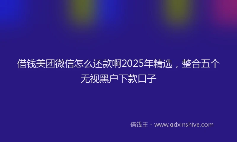 借钱美团微信怎么还款啊2025年精选，整合五个无视黑户下款口子