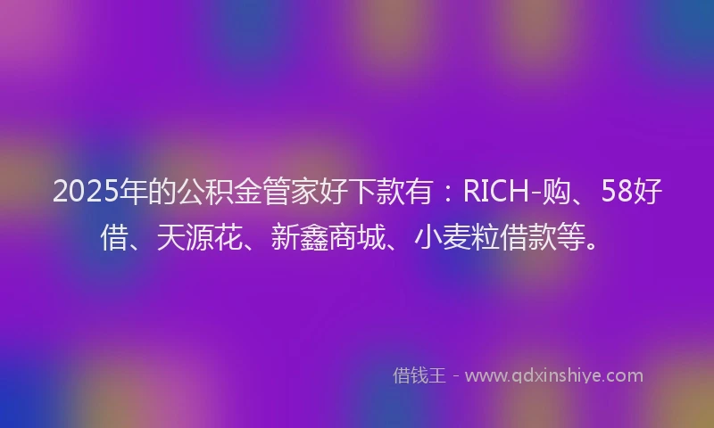 2025年的公积金管家好下款有：RICH-购、58好借、天源花、新鑫商城、小麦粒借款等。