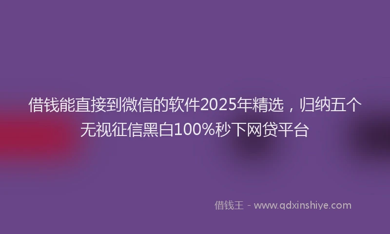 借钱能直接到微信的软件2025年精选，归纳五个无视征信黑白100%秒下网贷平台