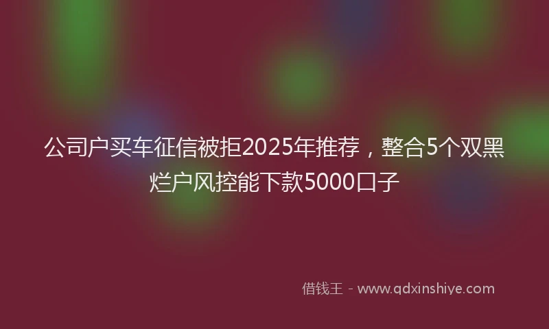 公司户买车征信被拒2025年推荐，整合5个双黑烂户风控能下款5000口子