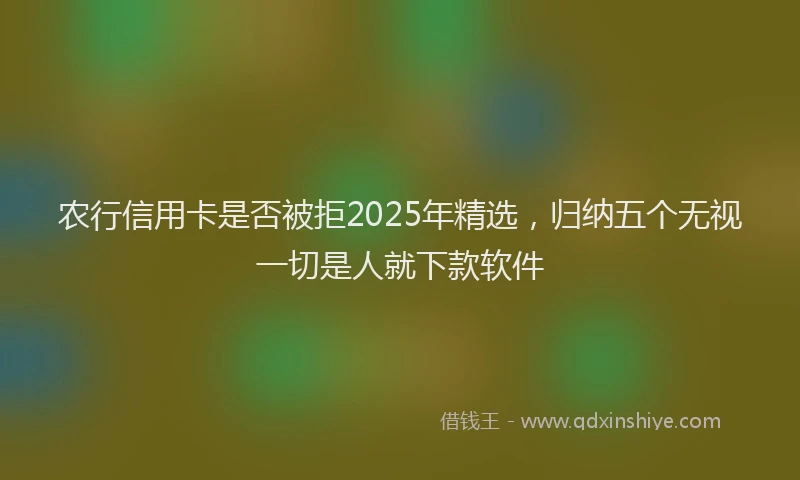农行信用卡是否被拒2025年精选，归纳五个无视一切是人就下款软件