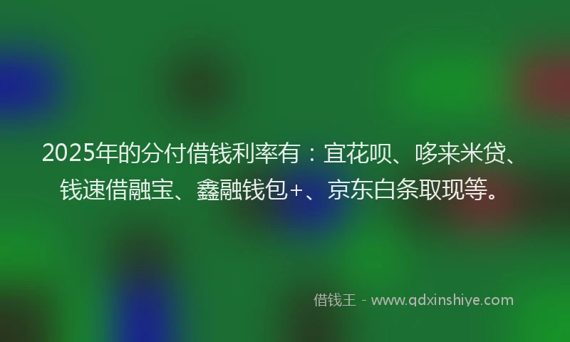 2025年的分付借钱利率有：宜花呗、哆来米贷、钱速借融宝、鑫融钱包+、京东白条取现等。