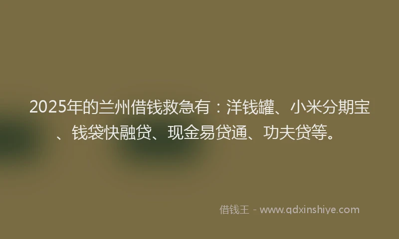 2025年的兰州借钱救急有：洋钱罐、小米分期宝、钱袋快融贷、现金易贷通、功夫贷等。