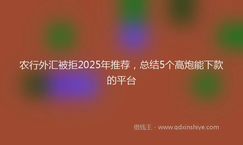 农行外汇被拒2025年推荐，总结5个高炮能下款的平台