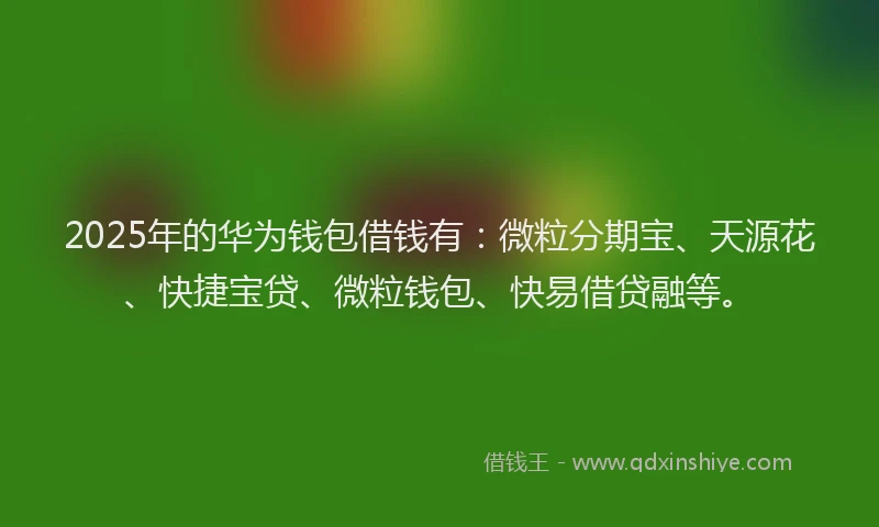 2025年的华为钱包借钱有：微粒分期宝、天源花、快捷宝贷、微粒钱包、快易借贷融等。