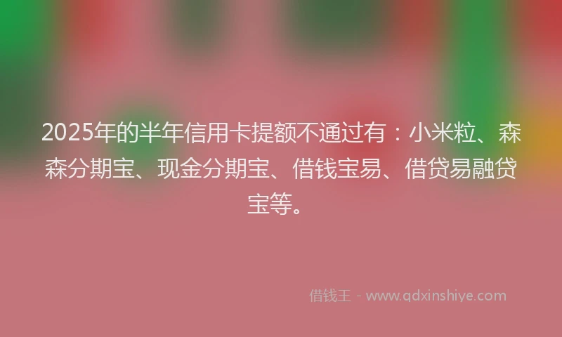 2025年的半年信用卡提额不通过有：小米粒、森森分期宝、现金分期宝、借钱宝易、借贷易融贷宝等。