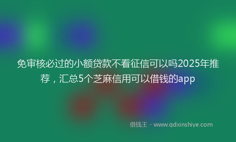 免审核必过的小额贷款不看征信可以吗2025年推荐，汇总5个芝麻信用可以借钱的app