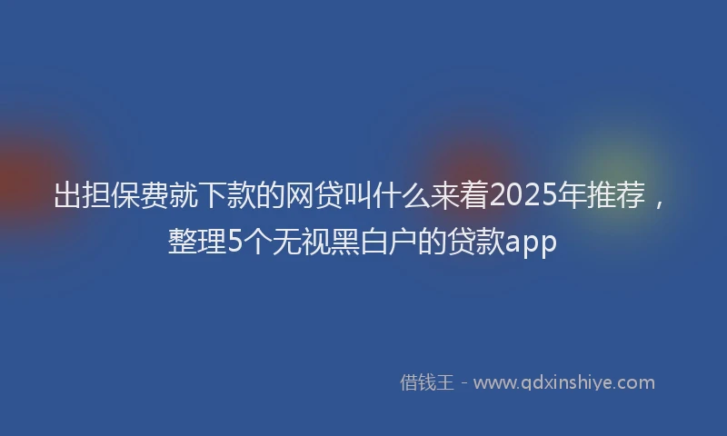 出担保费就下款的网贷叫什么来着2025年推荐，整理5个无视黑白户的贷款app