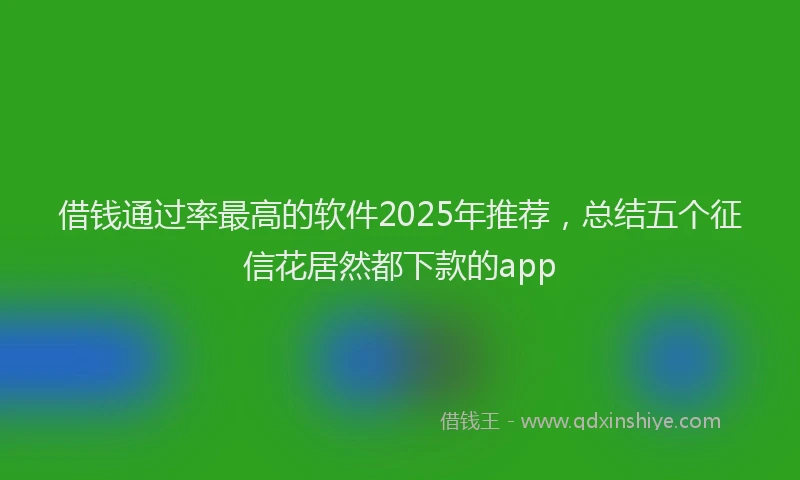 借钱通过率最高的软件2025年推荐，总结五个征信花居然都下款的app