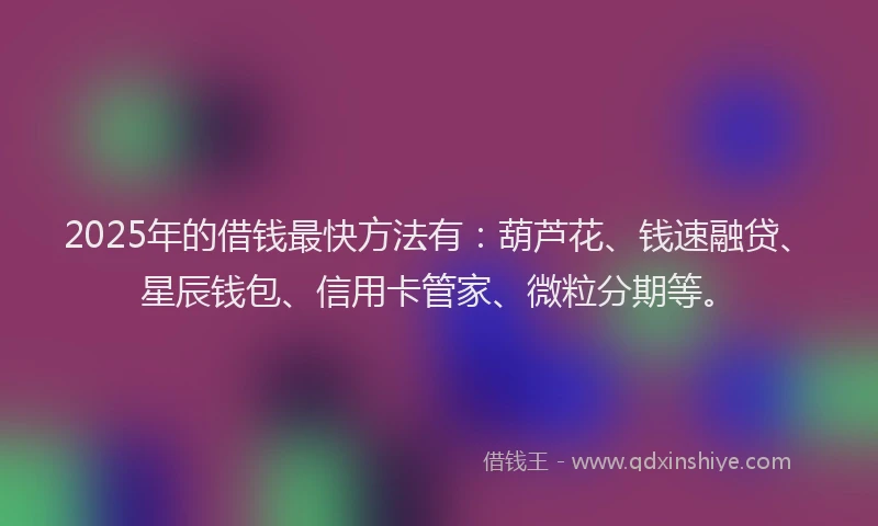 2025年的借钱最快方法有：葫芦花、钱速融贷、星辰钱包、信用卡管家、微粒分期等。