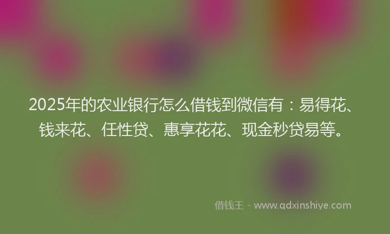 2025年的农业银行怎么借钱到微信有：易得花、钱来花、任性贷、惠享花花、现金秒贷易等。