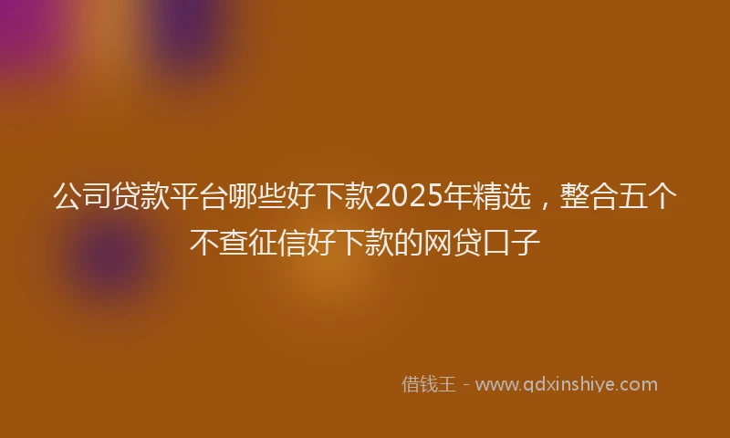 公司贷款平台哪些好下款2025年精选，整合五个不查征信好下款的网贷口子