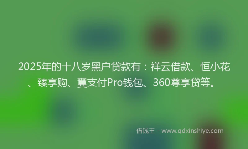 2025年的十八岁黑户贷款有：祥云借款、恒小花、臻享购、翼支付Pro钱包、360尊享贷等。