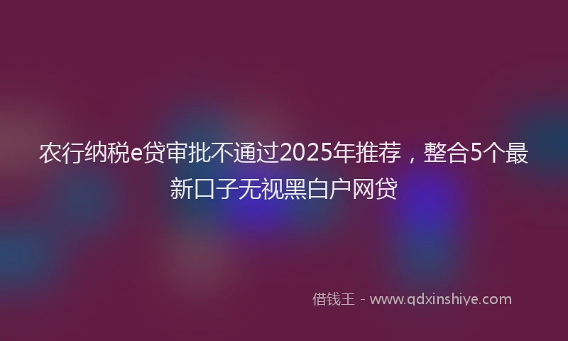 农行纳税e贷审批不通过2025年推荐，整合5个最新口子无视黑白户网贷