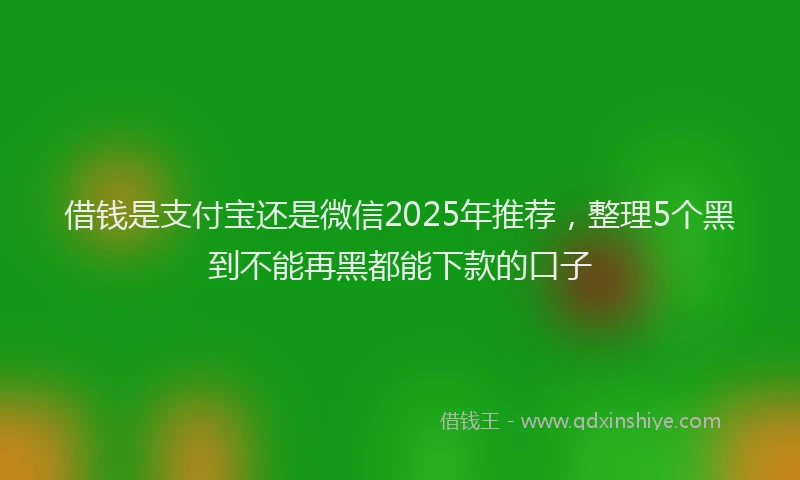 借钱是支付宝还是微信2025年推荐，整理5个黑到不能再黑都能下款的口子