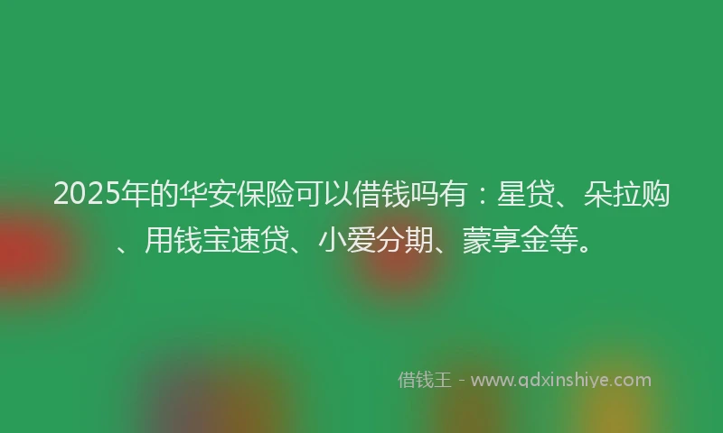 2025年的华安保险可以借钱吗有：星贷、朵拉购、用钱宝速贷、小爱分期、蒙享金等。
