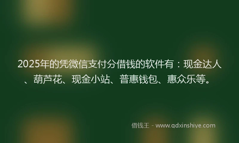 2025年的凭微信支付分借钱的软件有：现金达人、葫芦花、现金小站、普惠钱包、惠众乐等。