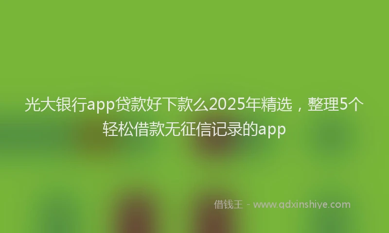 光大银行app贷款好下款么2025年精选，整理5个轻松借款无征信记录的app