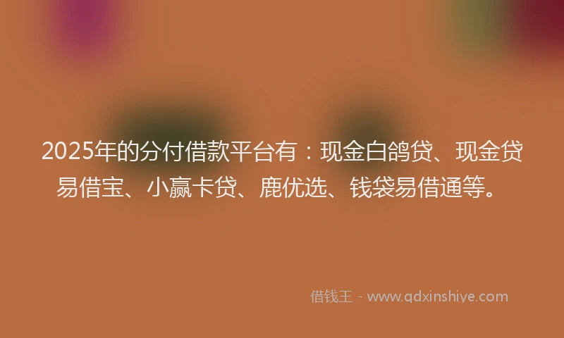 2025年的分付借款平台有：现金白鸽贷、现金贷易借宝、小赢卡贷、鹿优选、钱袋易借通等。
