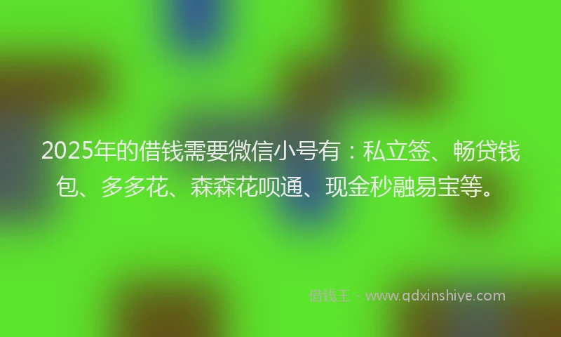 2025年的借钱需要微信小号有：私立签、畅贷钱包、多多花、森森花呗通、现金秒融易宝等。