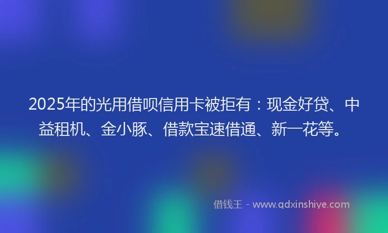 2025年的光用借呗信用卡被拒有：现金好贷、中益租机、金小豚、借款宝速借通、新一花等。