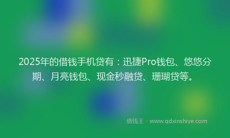 2025年的借钱手机贷有：迅捷Pro钱包、悠悠分期、月亮钱包、现金秒融贷、珊瑚贷等。