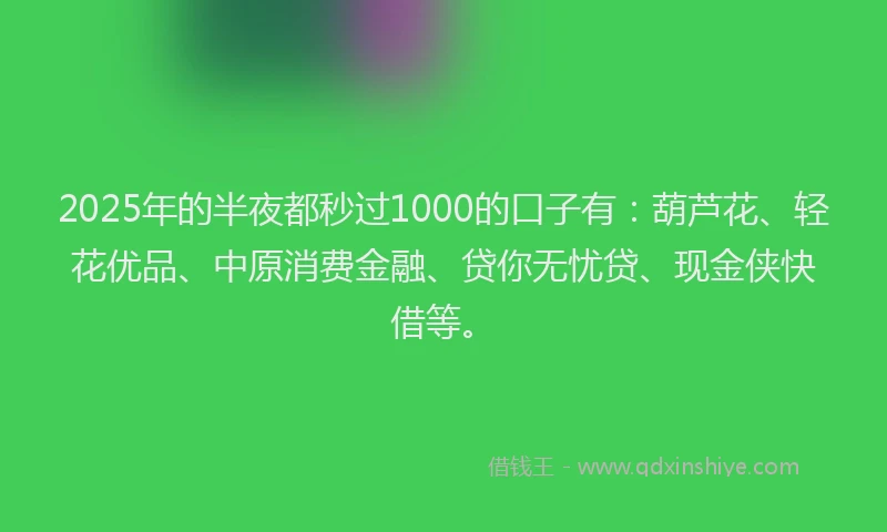 2025年的半夜都秒过1000的口子有：葫芦花、轻花优品、中原消费金融、贷你无忧贷、现金侠快借等。