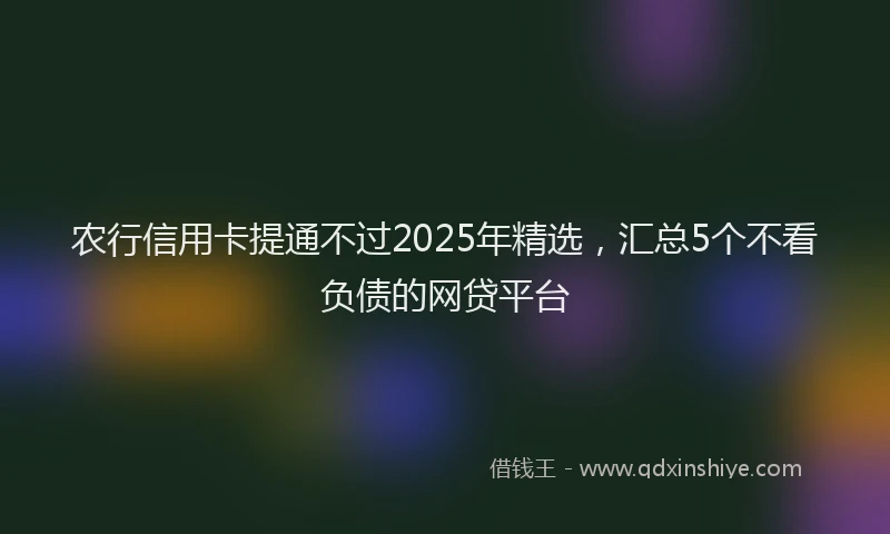 农行信用卡提通不过2025年精选，汇总5个不看负债的网贷平台
