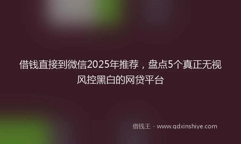借钱直接到微信2025年推荐，盘点5个真正无视风控黑白的网贷平台