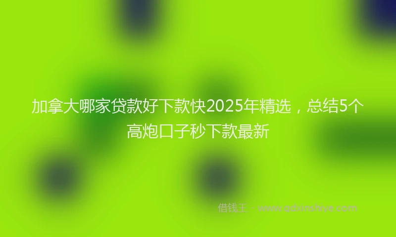 加拿大哪家贷款好下款快2025年精选，总结5个高炮口子秒下款最新