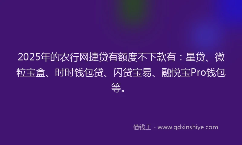 2025年的农行网捷贷有额度不下款有：星贷、微粒宝盒、时时钱包贷、闪贷宝易、融悦宝Pro钱包等。