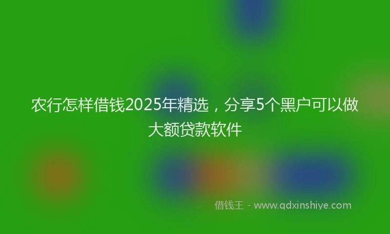 农行怎样借钱2025年精选，分享5个黑户可以做大额贷款软件