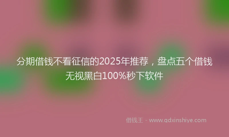 分期借钱不看征信的2025年推荐，盘点五个借钱无视黑白100%秒下软件