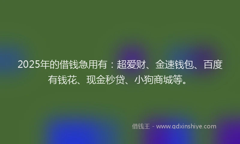 2025年的借钱急用有：超爱财、金速钱包、百度有钱花、现金秒贷、小狗商城等。