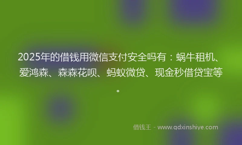 2025年的借钱用微信支付安全吗有：蜗牛租机、爱鸿森、森森花呗、蚂蚁微贷、现金秒借贷宝等。