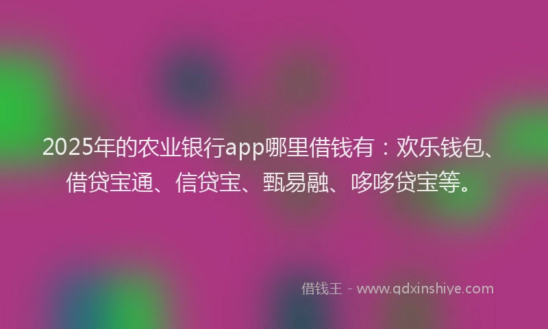 2025年的农业银行app哪里借钱有：欢乐钱包、借贷宝通、信贷宝、甄易融、哆哆贷宝等。