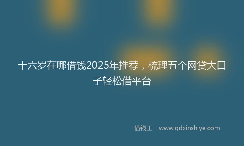 十六岁在哪借钱2025年推荐，梳理五个网贷大口子轻松借平台