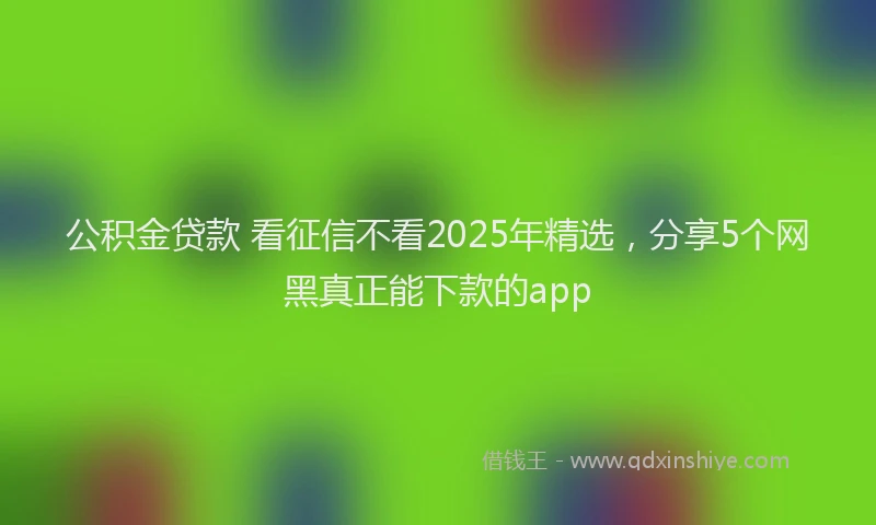 公积金贷款 看征信不看2025年精选，分享5个网黑真正能下款的app