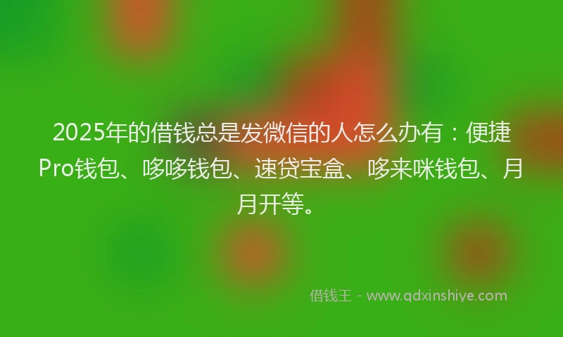 2025年的借钱总是发微信的人怎么办有：便捷Pro钱包、哆哆钱包、速贷宝盒、哆来咪钱包、月月开等。