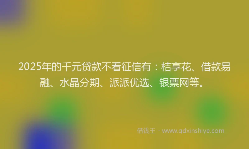 2025年的千元贷款不看征信有：桔享花、借款易融、水晶分期、派派优选、银票网等。