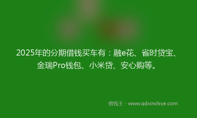 2025年的分期借钱买车有：融e花、省时贷宝、金瑞Pro钱包、小米贷、安心购等。
