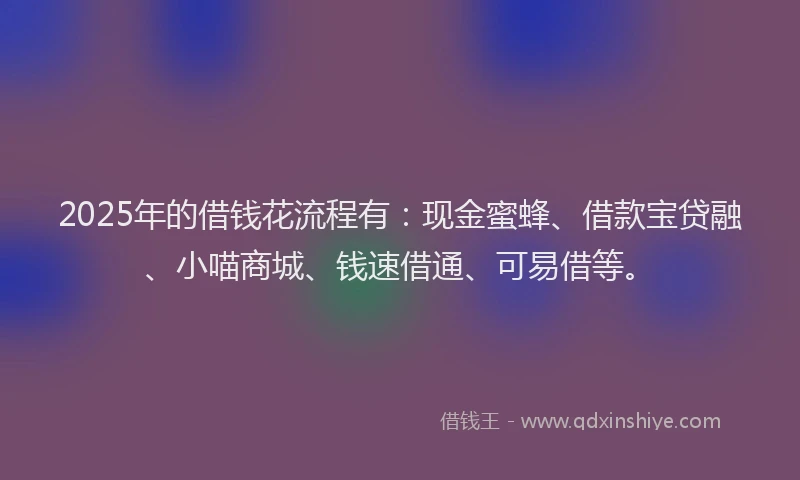 2025年的借钱花流程有：现金蜜蜂、借款宝贷融、小喵商城、钱速借通、可易借等。