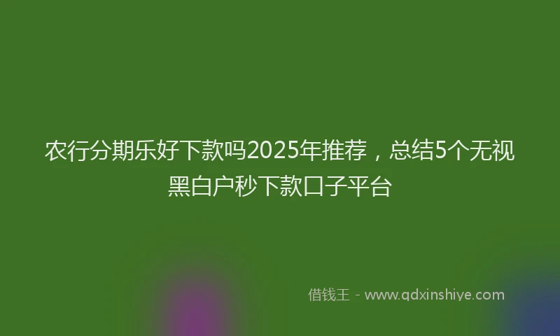 农行分期乐好下款吗2025年推荐，总结5个无视黑白户秒下款口子平台