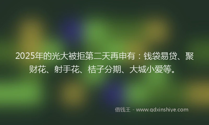 2025年的光大被拒第二天再申有：钱袋易贷、聚财花、射手花、桔子分期、大城小爱等。