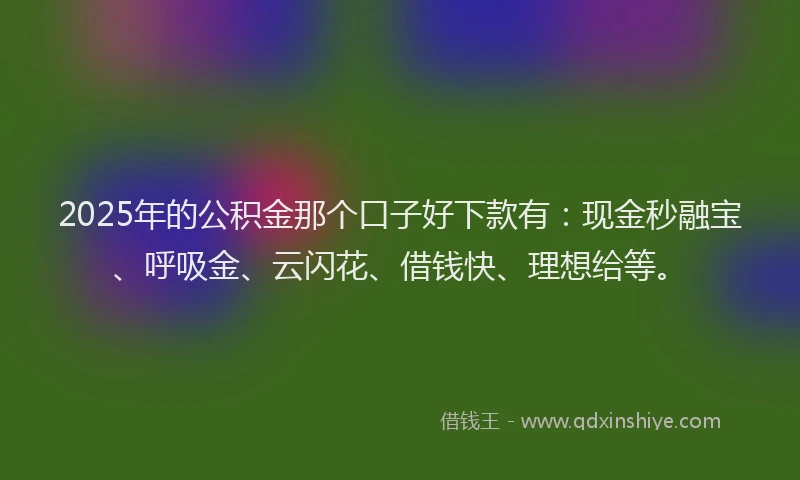 2025年的公积金那个口子好下款有：现金秒融宝、呼吸金、云闪花、借钱快、理想给等。