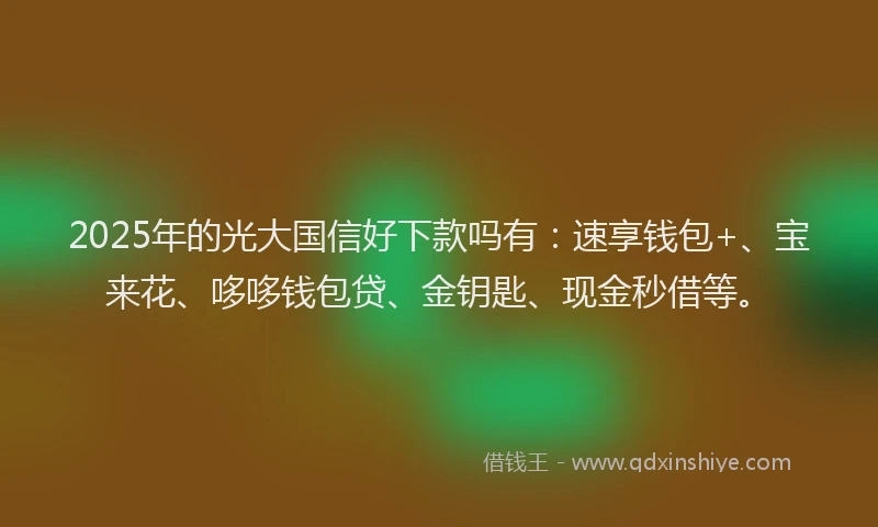 2025年的光大国信好下款吗有：速享钱包+、宝来花、哆哆钱包贷、金钥匙、现金秒借等。