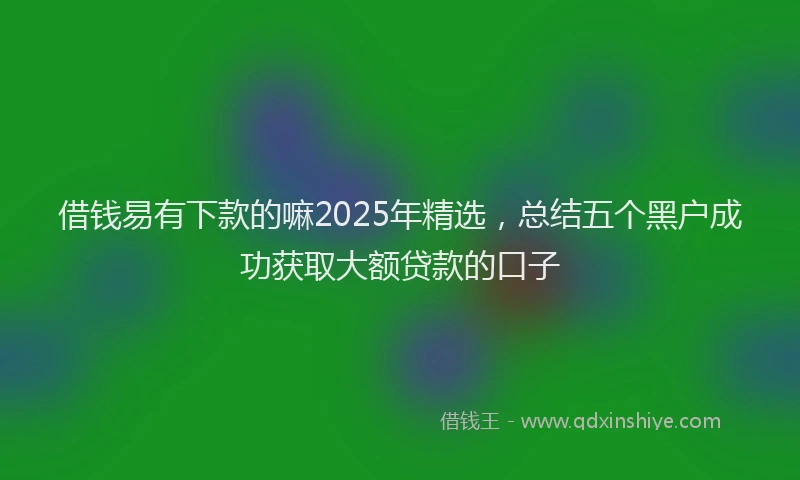 借钱易有下款的嘛2025年精选，总结五个黑户成功获取大额贷款的口子